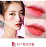 Double Color Lipstick Waterproof